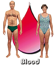 The Blood body type diet