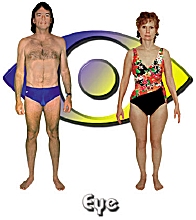 The Eye body type diet