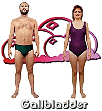 The Gallbladder body type diet