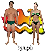 The Lymph body type diet