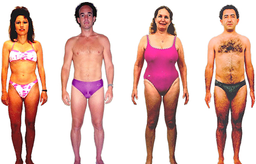 Brain body type diet, characteristics and personality traits