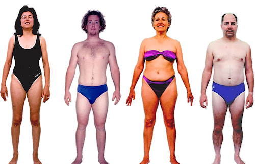 Gallbladder body type diet, characteristics and personality traits