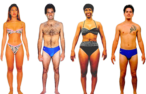 Gonadal body type diet, characteristics and personality traits