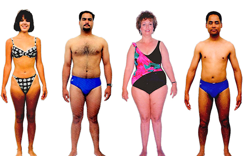 Heart body type diet, characteristics and personality traits