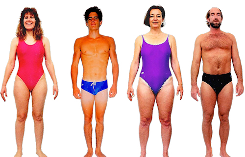 Kidney body type diet, characteristics and personality traits