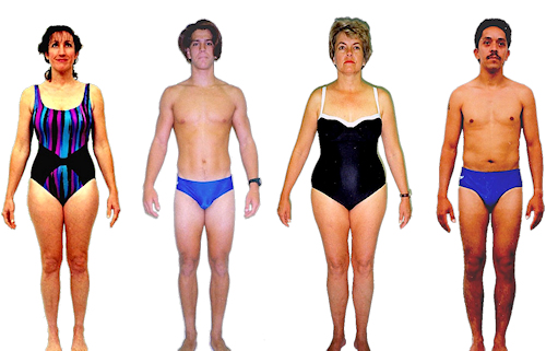 Nervous System body type diet, characteristics and personality traits