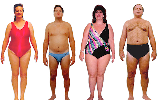 Pancreas body type diet, characteristics and personality traits