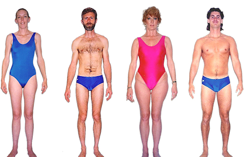 Thymus body type diet, characteristics and personality traits